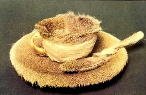 meret-oppenheim-fur-cup